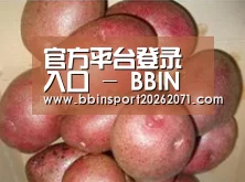 产品展示标题1