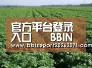 种植基地五(图1)