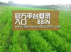 种植基地四