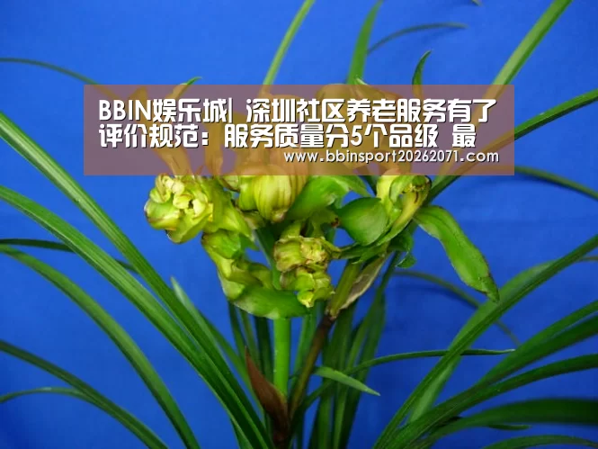 BBIN入口
