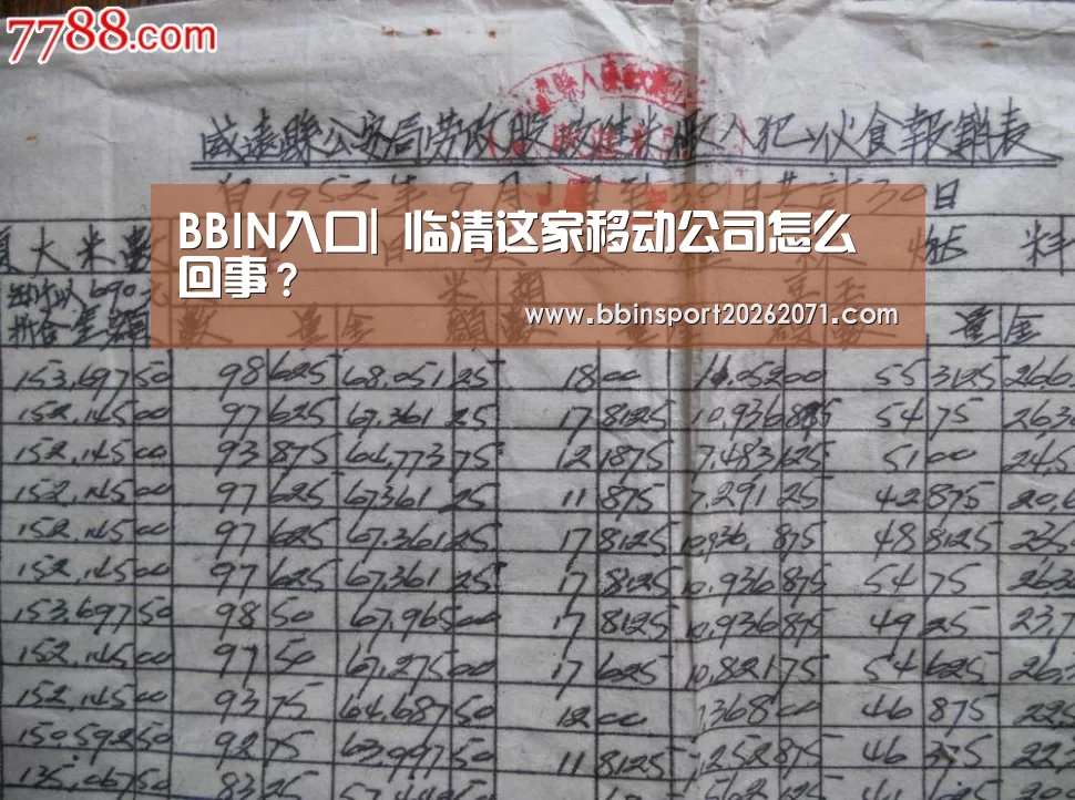 BBIN娱乐城