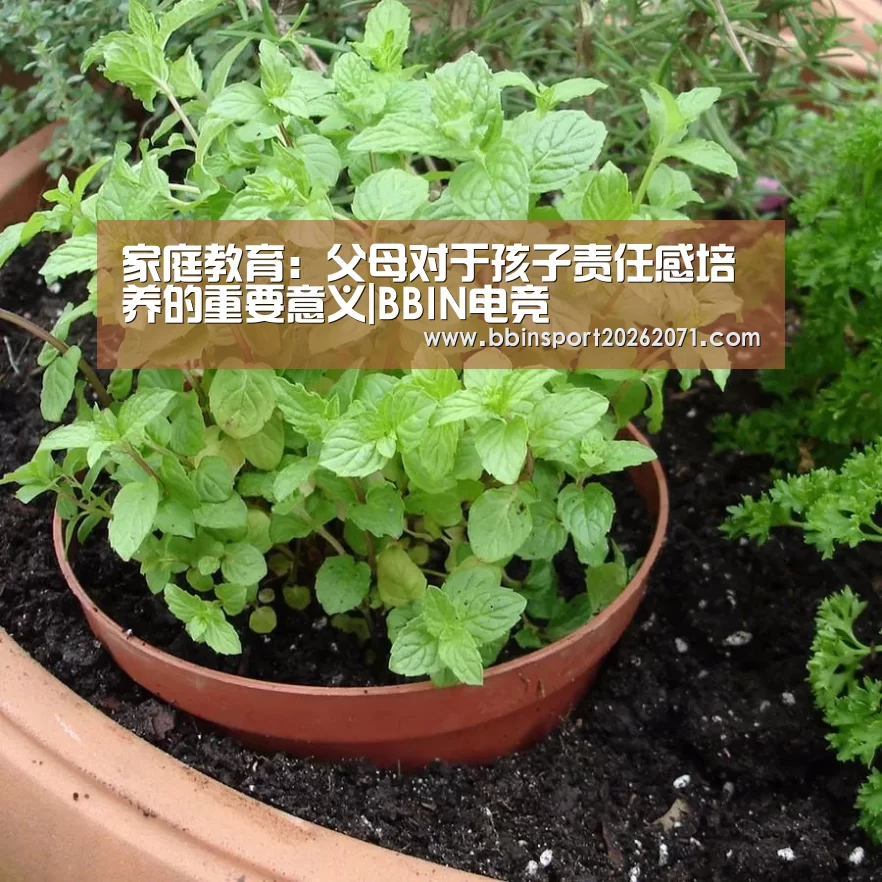 BBIN娱乐城